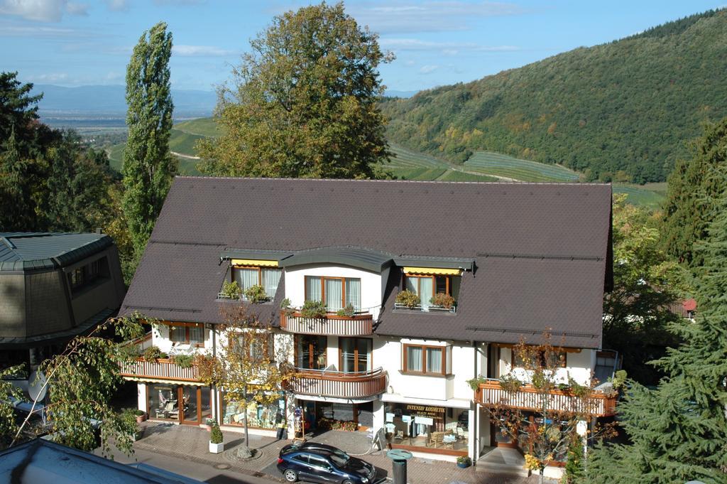 Park Appartements Badenweiler Bagian luar foto